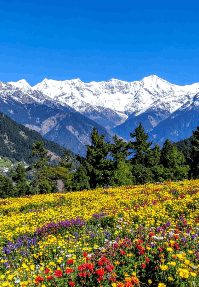 Himachal